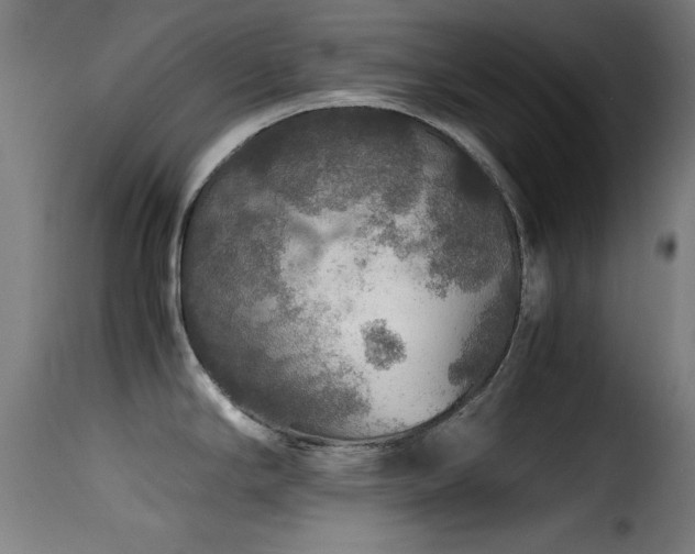 X0000116001294200911191416