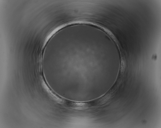 X0000116001295200911191416