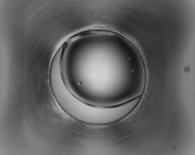 X0000116001296200911191416