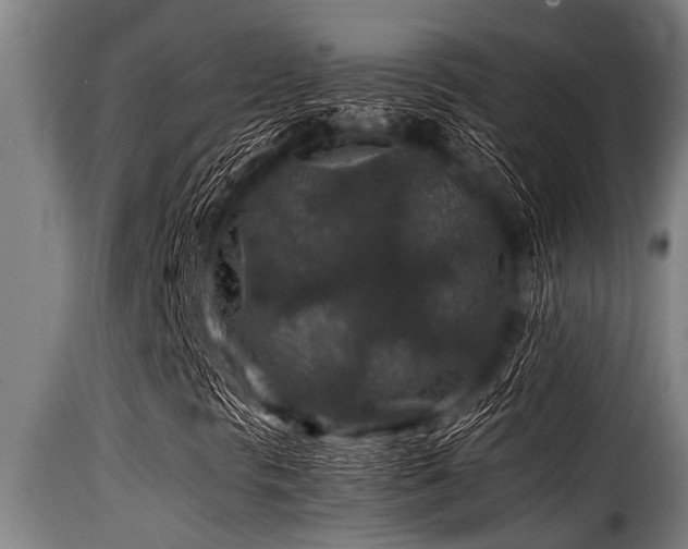 X0000116001297200911191415