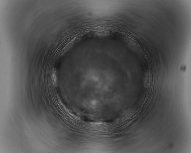 X0000116001298200911191415