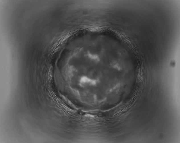 X0000116001301200911191415