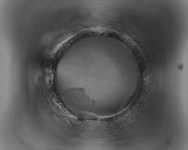 X0000116001302200911191415