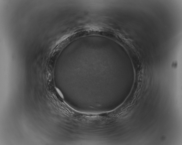 X0000116001303200911191415