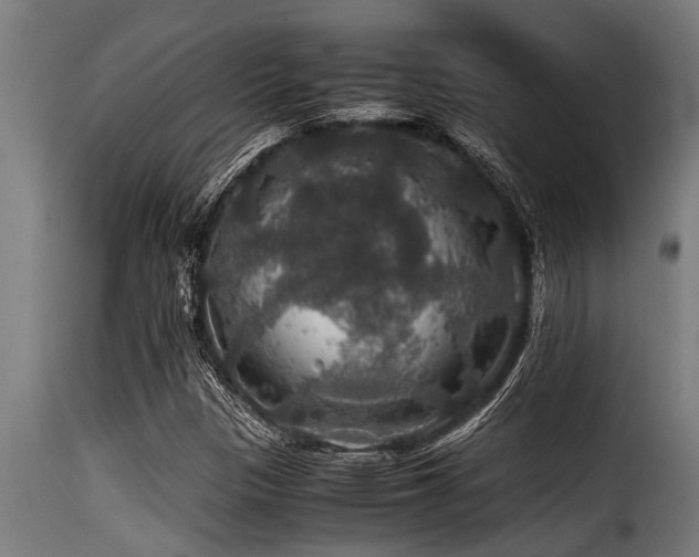 X0000116001305200911191415