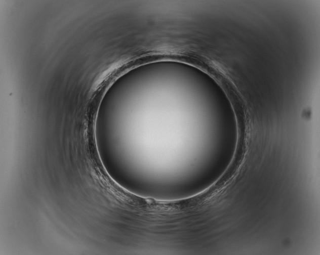 X0000116001307200911191415