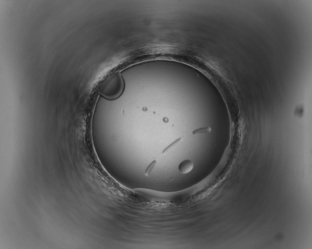 X0000116001309200911191415