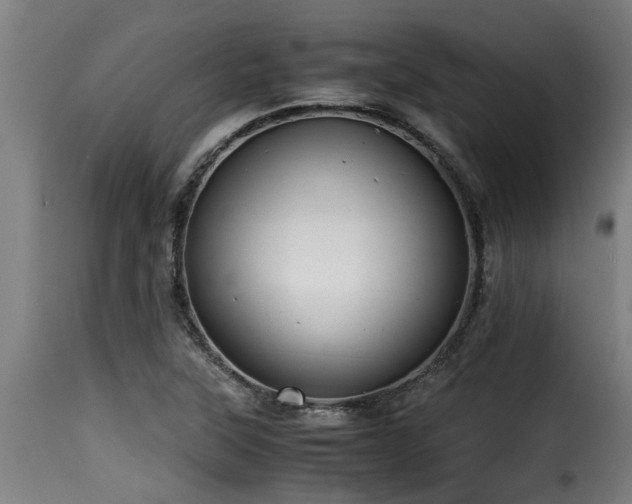 X0000116001315200911191415