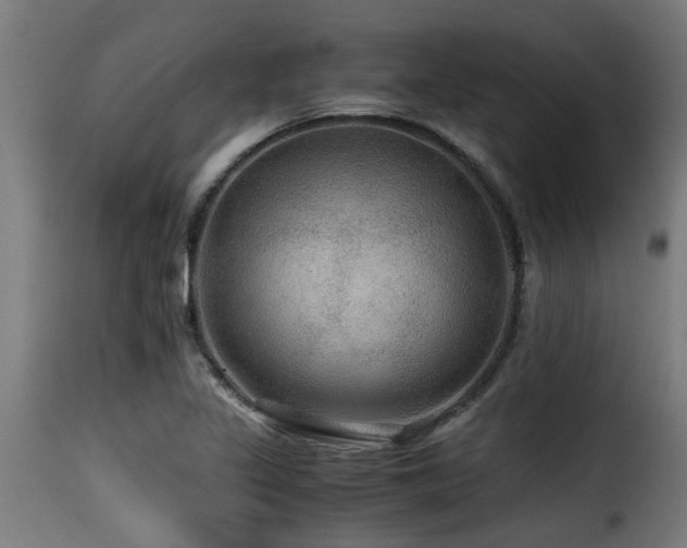 X0000116001317200911191415