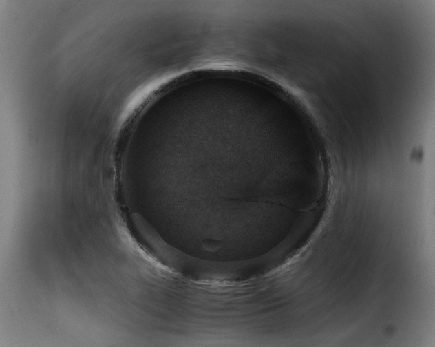 X0000116001319200911191415