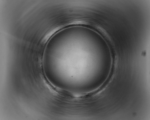 X0000116001321200911191415