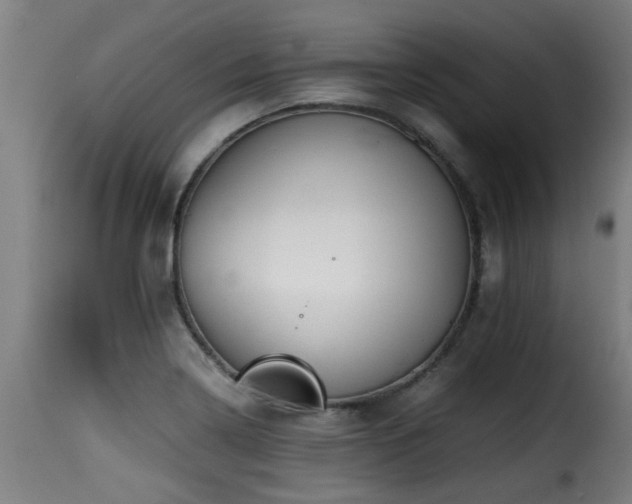 X0000116001322200911191415