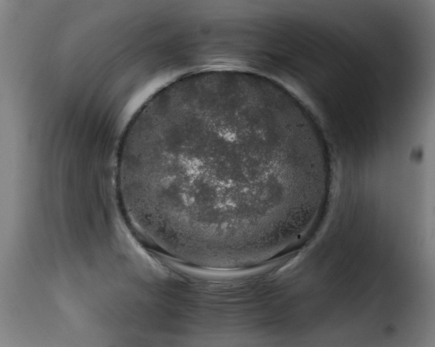 X0000116001325200911191415