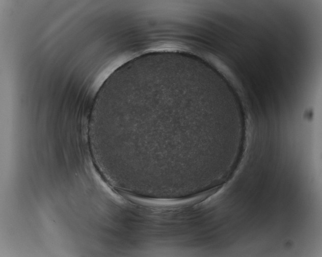 X0000116001329200911191416