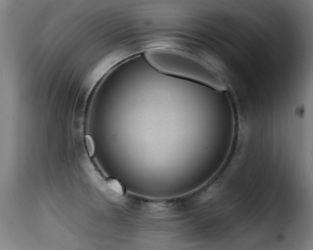 X0000116001330200911191416