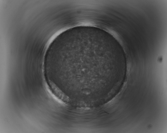 X0000116001331200911191416