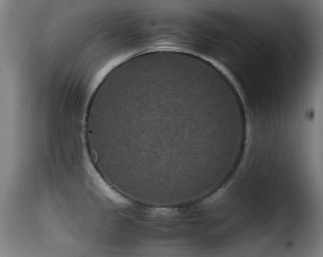 X0000116001333200911191416