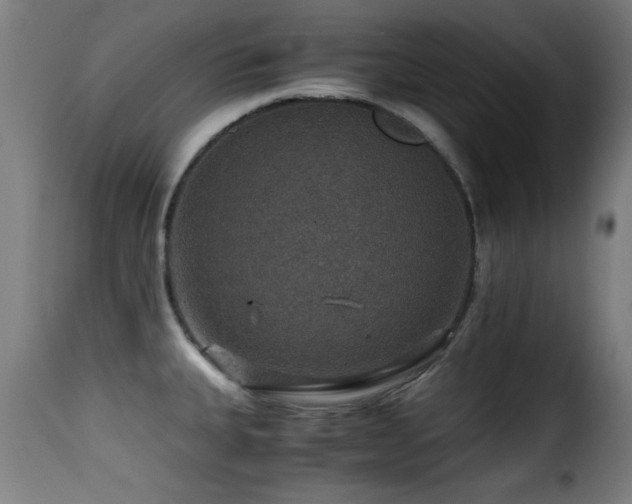 X0000116001335200911191416