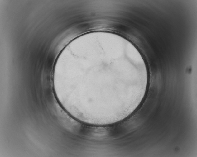 X0000116001338200911191416