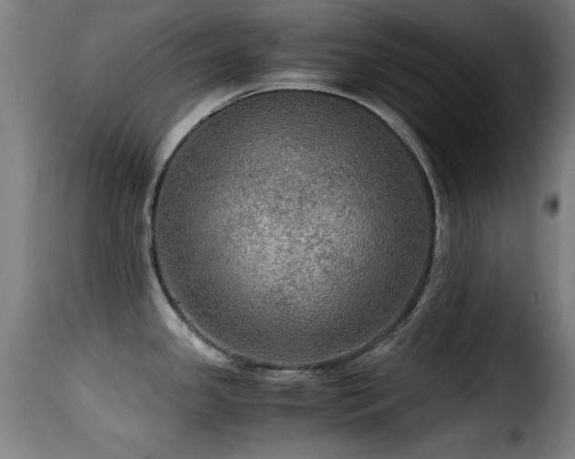 X0000116001341200911191416