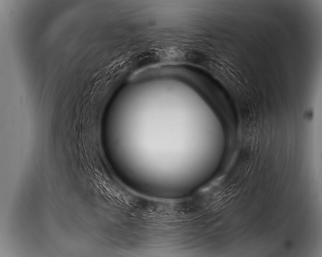 X0000116001345200911191415