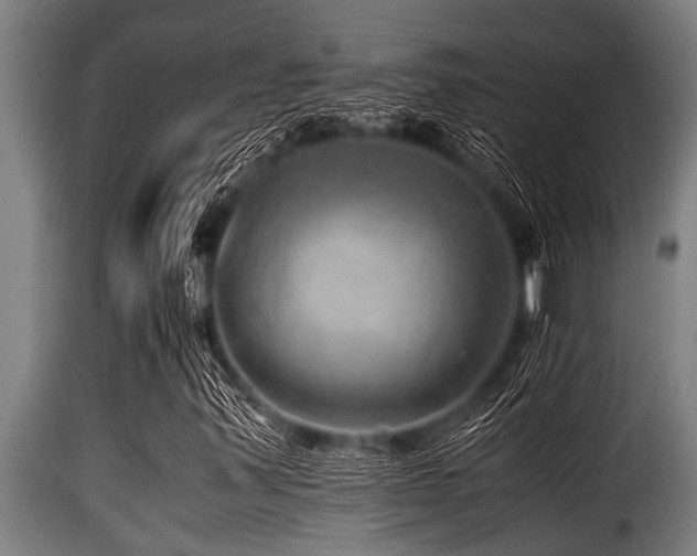 X0000116001347200911191415