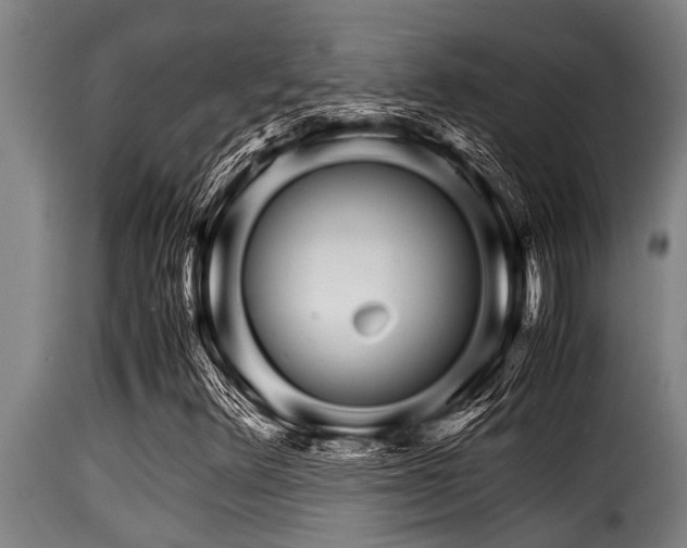 X0000116001348200911191415