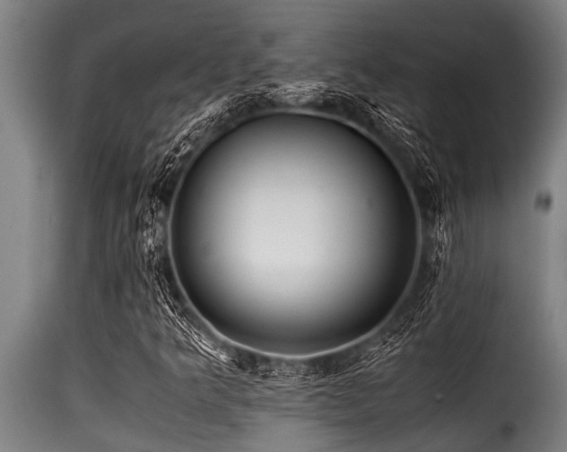 X0000116001349200911191415