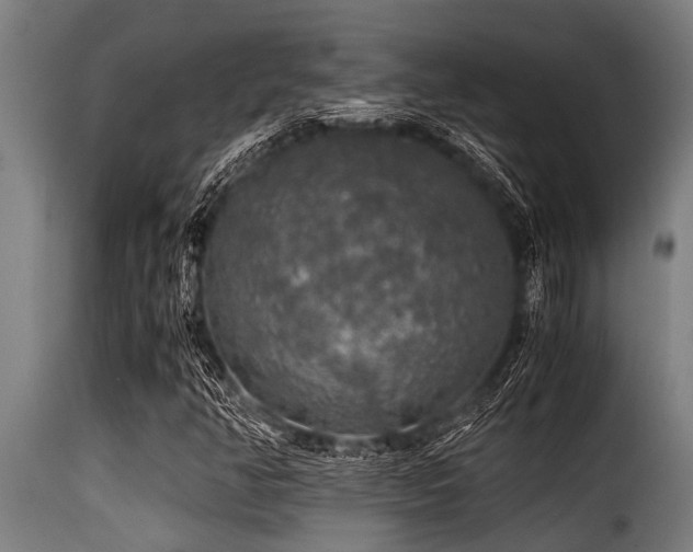 X0000116001350200911191415