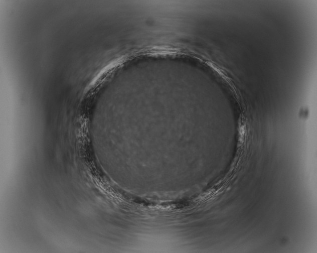 X0000116001351200911191415