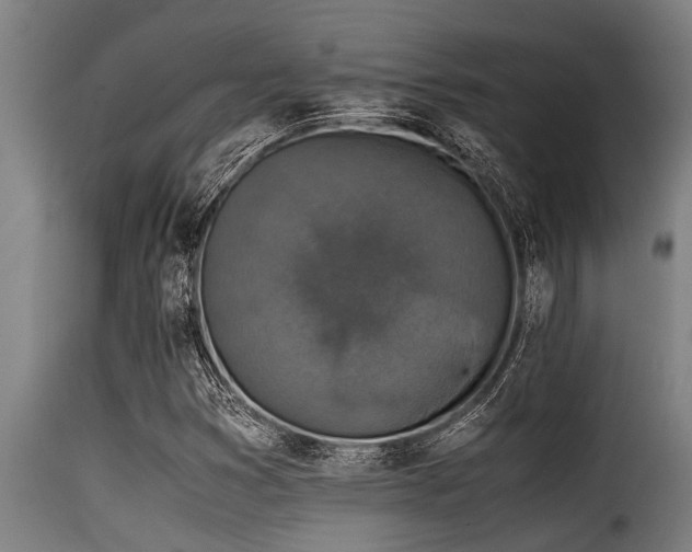 X0000116001353200911191415