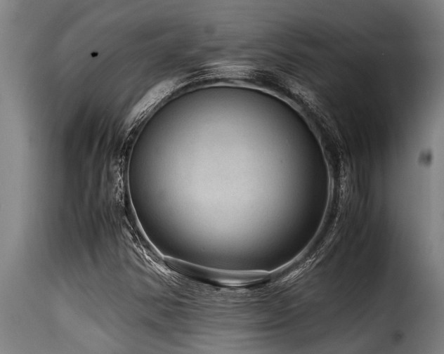 X0000116001354200911191415