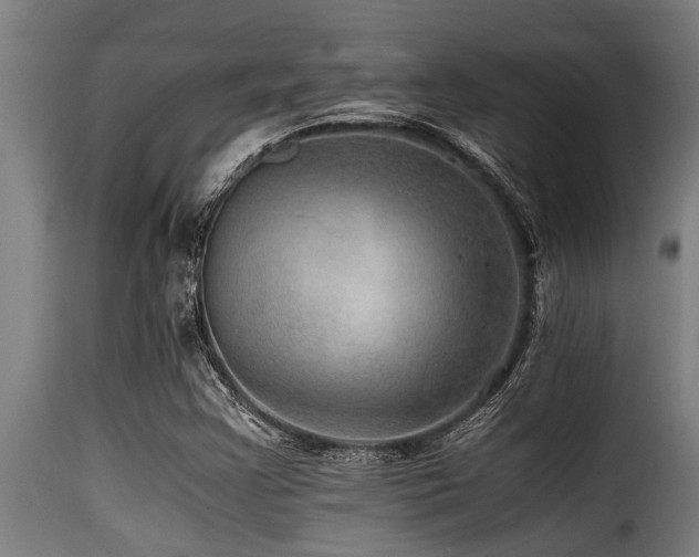 X0000116001355200911191415