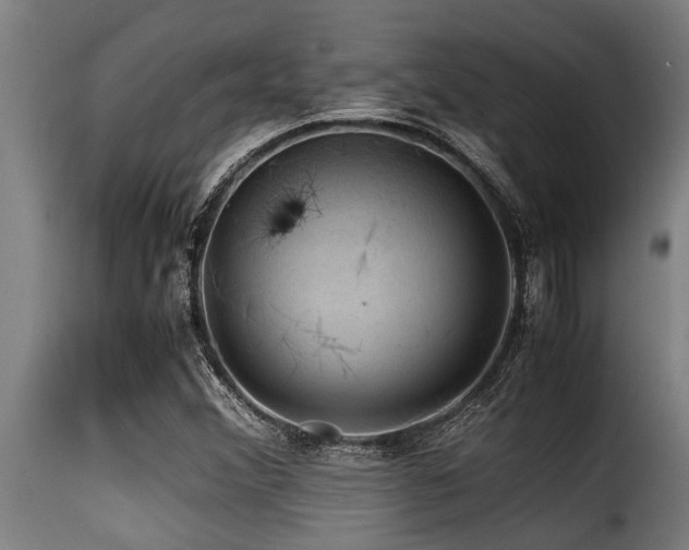 X0000116001356200911191415