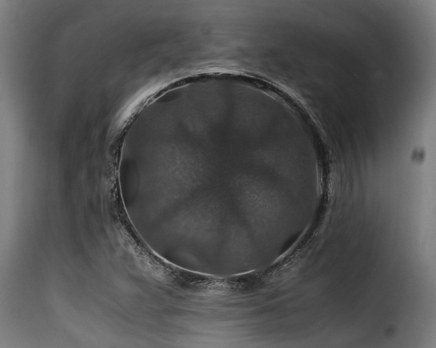 X0000116001359200911191415