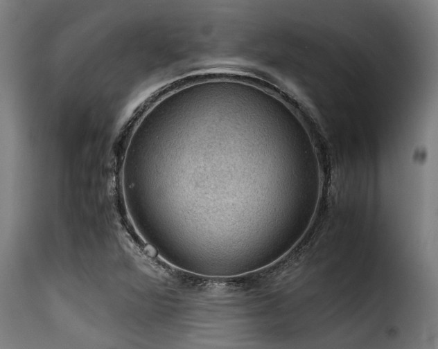 X0000116001360200911191415