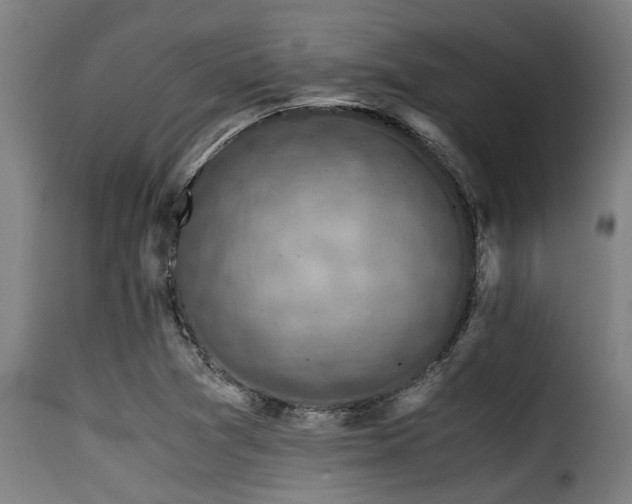 X0000116001361200911191415