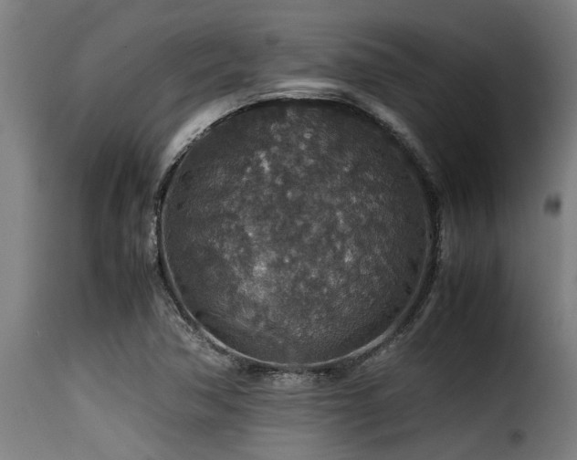 X0000116001362200911191415