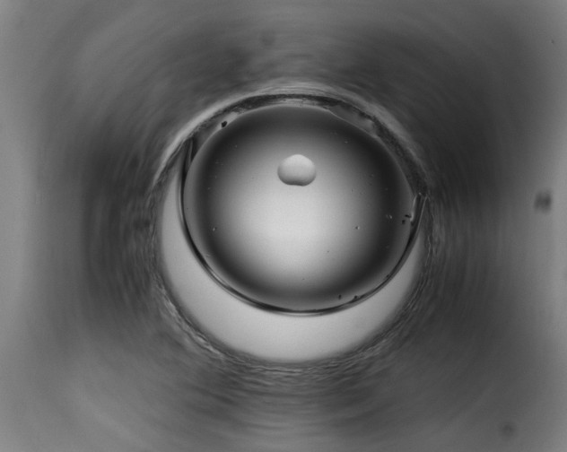 X0000116001364200911191415