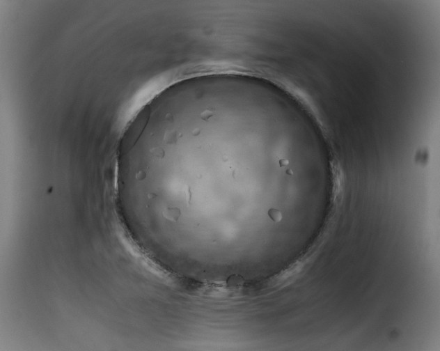 X0000116001365200911191415