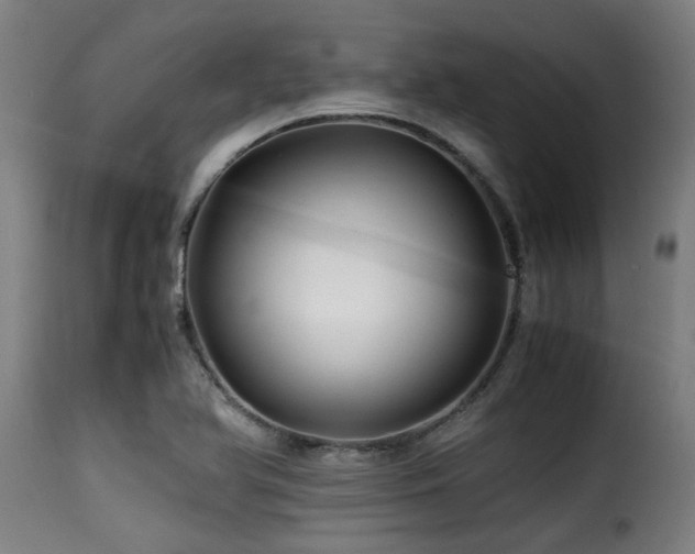 X0000116001366200911191414