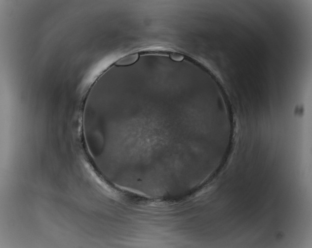 X0000116001367200911191414