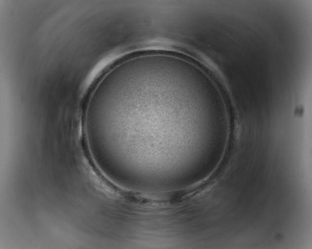 X0000116001368200911191414