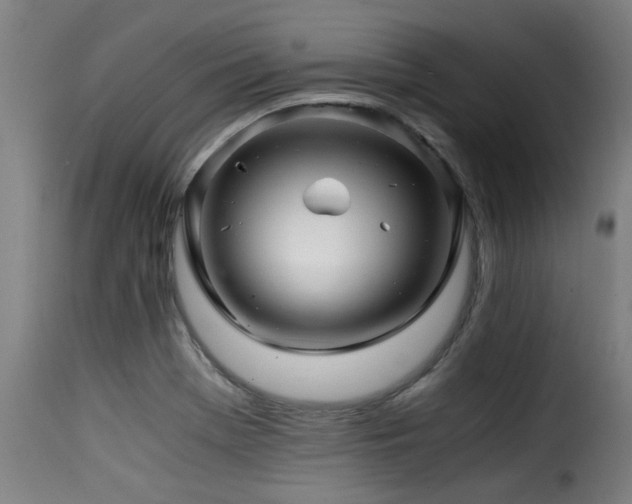 X0000116001369200911191414