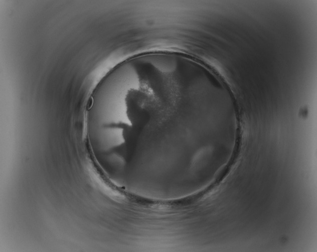 X0000116001371200911191414