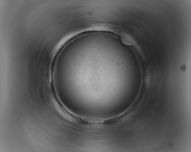 X0000116001372200911191414