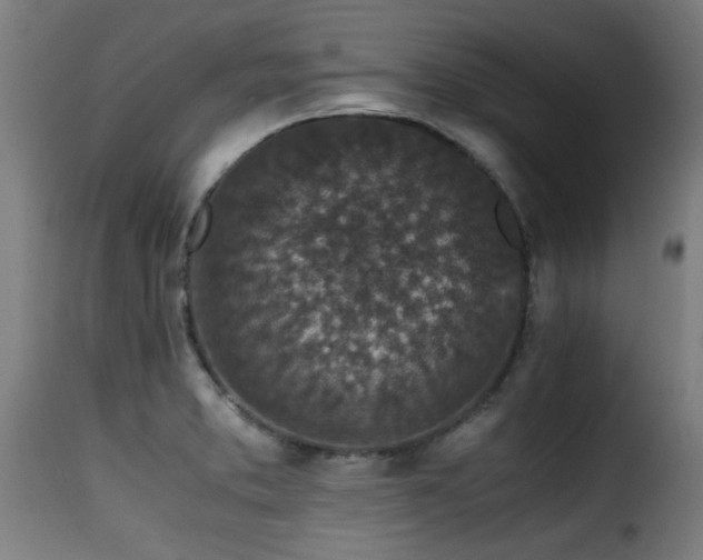 X0000116001373200911191414