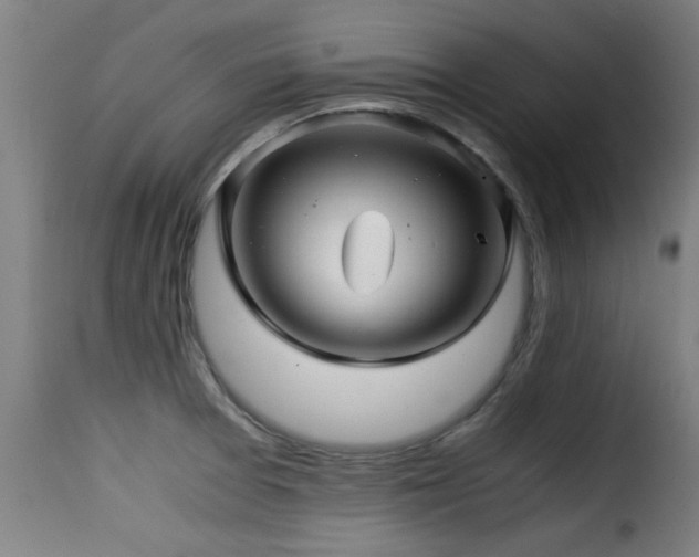 X0000116001377200911191414