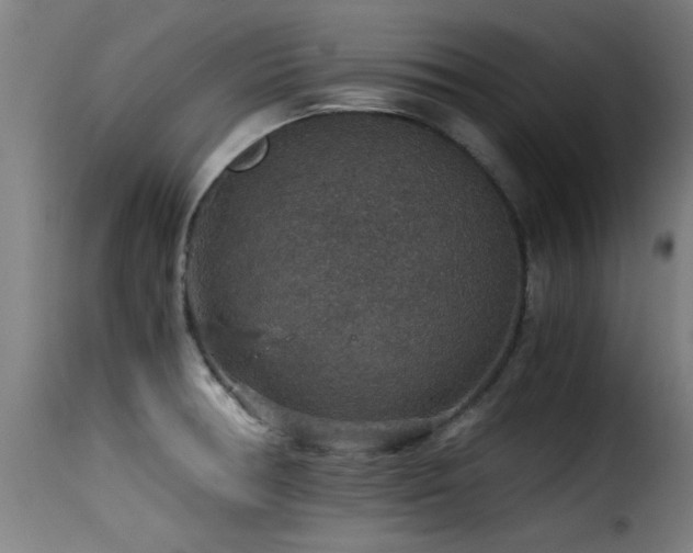 X0000116001378200911191414