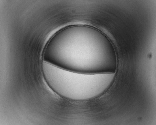 X0000116001380200911191414